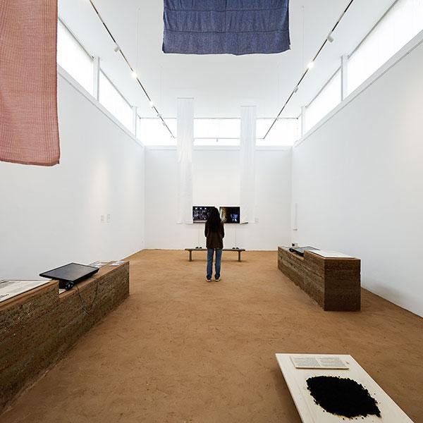 A Bienal de Veneza - Pavilhão do Brasil