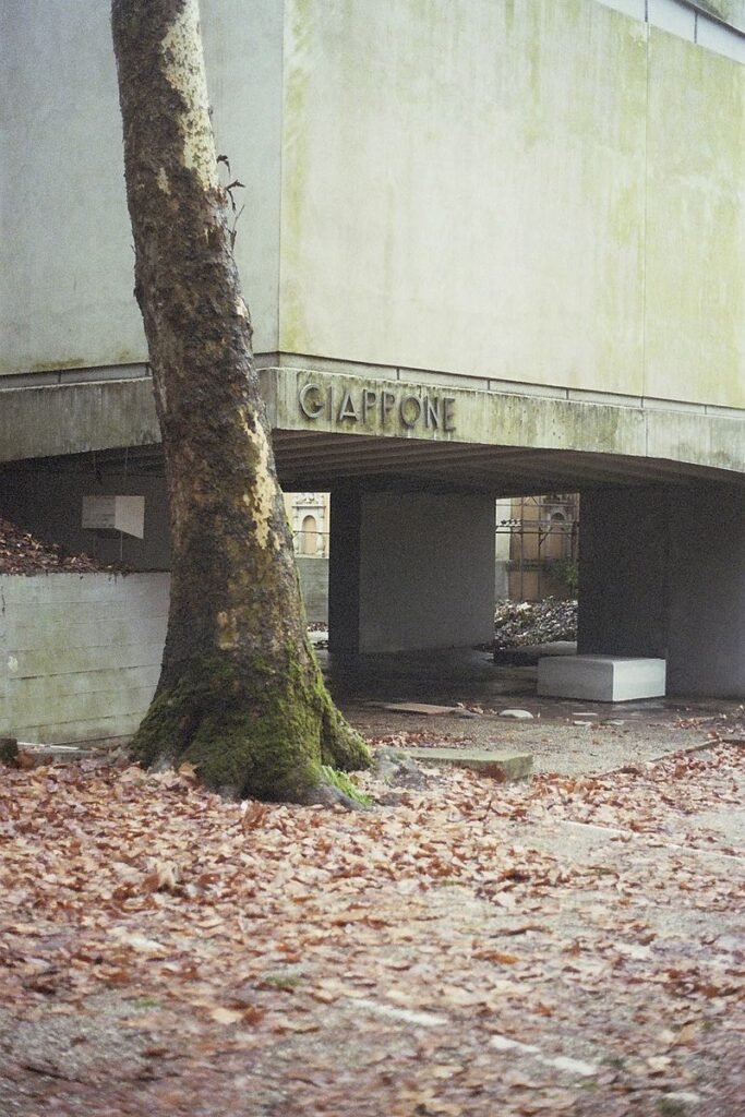 A Bienal de Veneza - Pavilhão do Japão